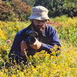 Dan Pearlman in the weeds