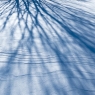 Snow shadow via autotone