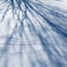 Snow shadow via Autotone, but with blue saturation reduced